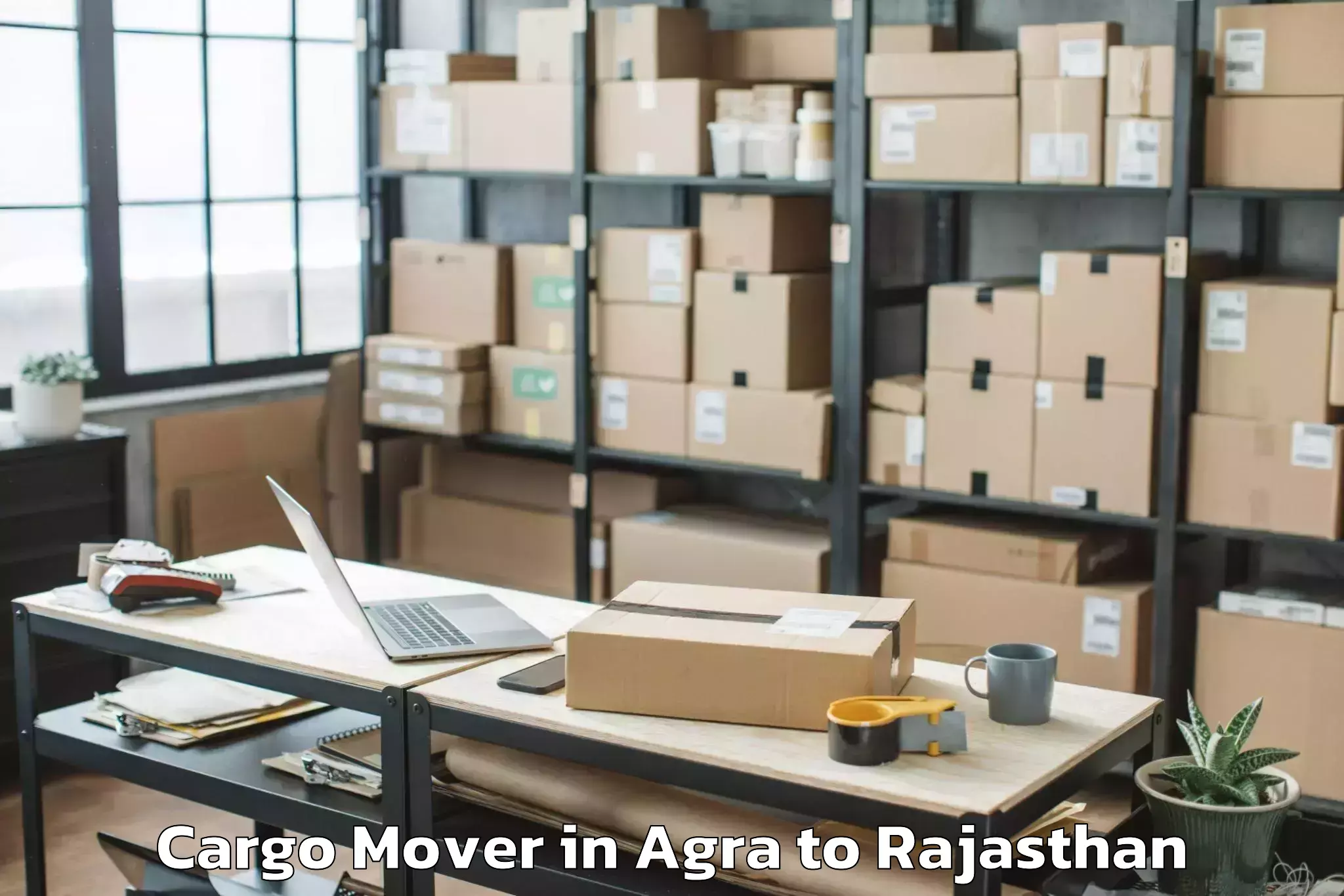 Agra to Madhav University Pindwara Cargo Mover